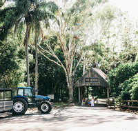 Tropical Fruit World Farm Full Tour - Attractions Melbourne