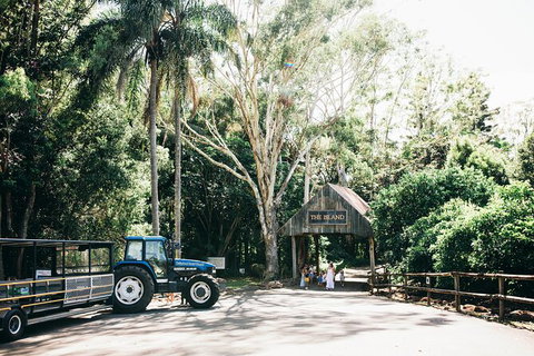Tropical Fruit World Farm Full Tour - Attractions Melbourne 0