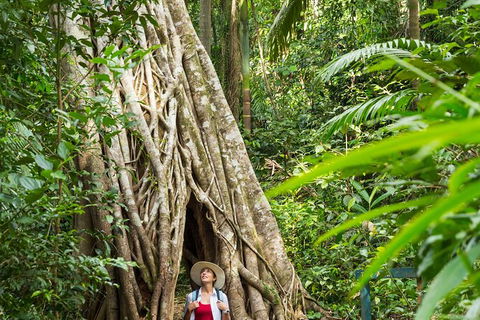 8-Day Outback Experience From Queensland - Attractions Melbourne 3