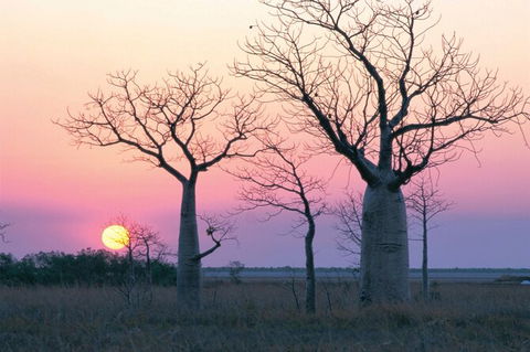 8-Day Outback Experience From Queensland - Attractions Melbourne 0