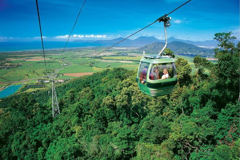 Day Tour To Kuranda, Rainforest And Port Douglas With Flight - Attractions Melbourne 5