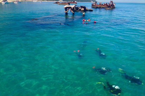 Adventure Moreton Island Scuba Dive Tour - Attractions Melbourne 0