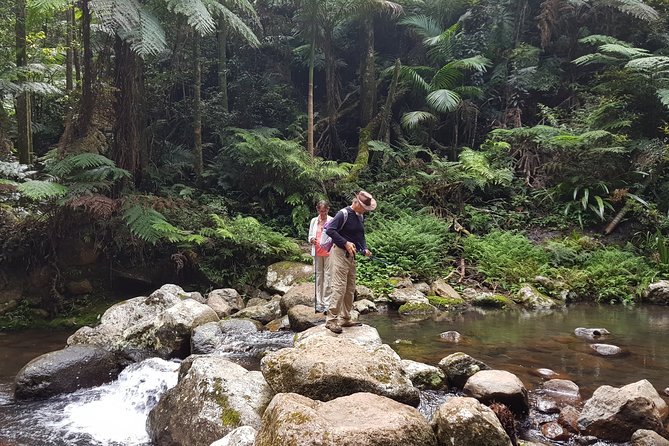 Gold Coast South QLD Attractions Melbourne