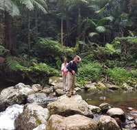 Limited group Gold Coast Lamington National Park Tour - Attractions Melbourne