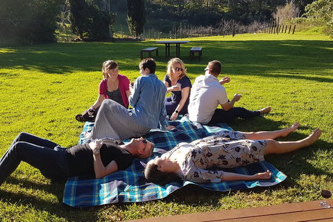 Mt Tamborine - Hinterland Wonders Self Guided - Attractions Melbourne 1