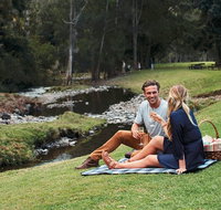 Mt Tamborine - Hinterland Wonders Self Guided - Attractions Melbourne