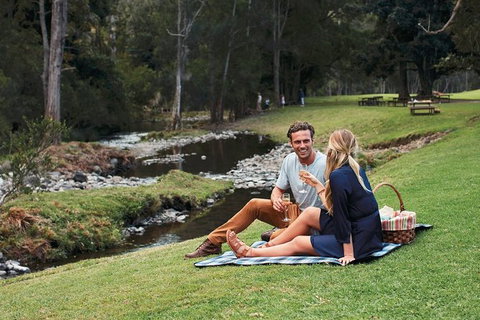 Mt Tamborine - Hinterland Wonders Self Guided - Attractions Melbourne 0