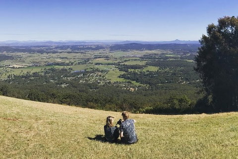 Mt Tamborine - Hinterland Wonders Self Guided - Attractions Melbourne 2