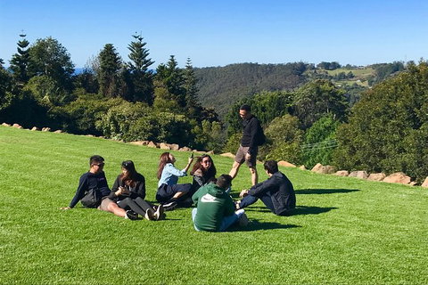 Mt Tamborine - Hinterland Wonders Self Guided - Attractions Melbourne 7