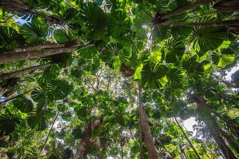 5 Day Australia Retreat: Queensland Daintree - Attractions Melbourne 4