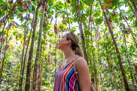 5 Day Australia Retreat: Queensland Daintree - Attractions Melbourne 3