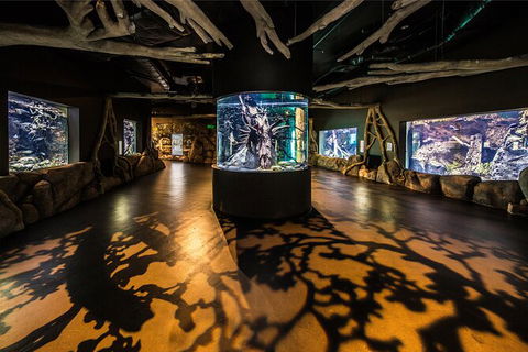 Cairns Aquarium By Twilight With 3 Course Dinner - Attractions Melbourne 7