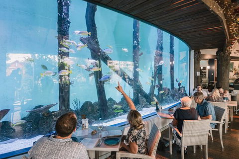 Cairns Aquarium By Twilight With 3 Course Dinner - Attractions Melbourne 1