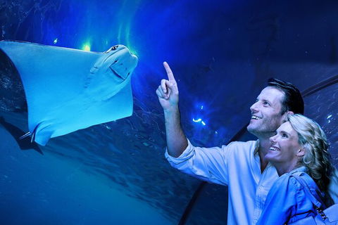 Cairns Aquarium Tour By Twilight With Drink And Appetiser - Attractions Melbourne 0