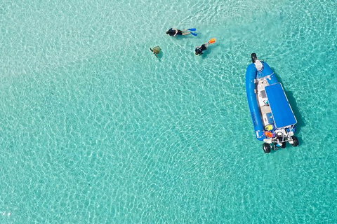Remote Fraser Island & Whale Experience - Attractions Melbourne 0