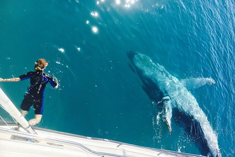 Remote Fraser Island & Whale Experience - Attractions Melbourne 4