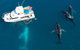 Remote Fraser Island & Whale Experience - thumb 3