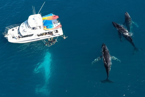 Remote Fraser Island & Whale Experience - Attractions Melbourne 3