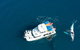 Remote Fraser Island & Whale Experience - thumb 1