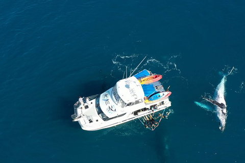Remote Fraser Island & Whale Experience - Attractions Melbourne 1