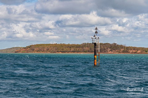 Sandy Straits Scenic & Wildlife Cruise - Attractions Melbourne 6