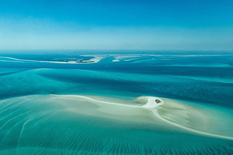 Sandy Straits Scenic & Wildlife Cruise - Attractions Melbourne 5