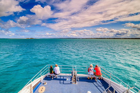 Sandy Straits Scenic & Wildlife Cruise - Attractions Melbourne 7