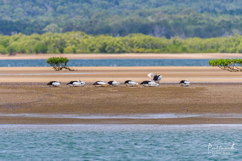 Sandy Straits Scenic & Wildlife Cruise - Attractions Melbourne 3