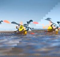Kangaroo Island Self-Guided Kayaking on the Harriet River - Attractions Melbourne