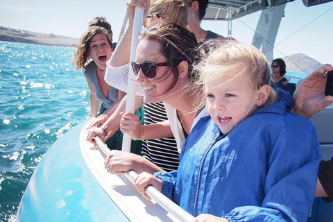 Southern Ocean Adventure From Victor Harbor - Attractions Melbourne 1