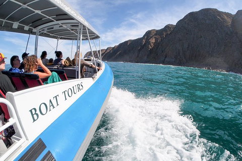 Southern Ocean Adventure From Victor Harbor - Attractions Melbourne 0