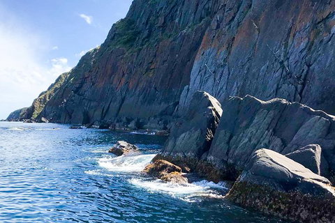 Southern Ocean Adventure From Victor Harbor - Attractions Melbourne 8