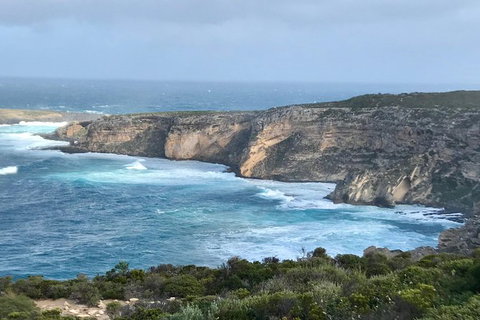 Kangaroo Island Scenic Trail Tour - Attractions Melbourne 4