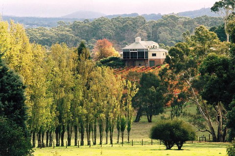 Adelaide Hills Wine Tour - Attractions Melbourne 0