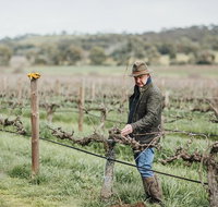 Armagh Vineyard Exclusive wine experience and lunch - Attractions Melbourne