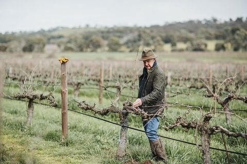 Armagh Vineyard Exclusive Wine Experience And Lunch - Attractions Melbourne 0