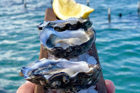Coffin Bay Oysters, Ocean & Nature Tour - Attractions Melbourne 0