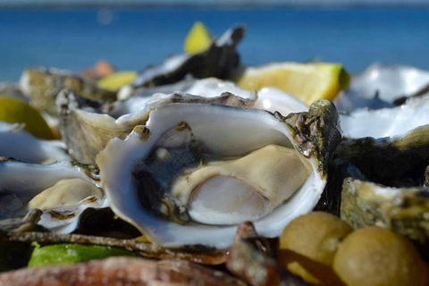 Coffin Bay Oysters, Ocean & Nature Tour - Attractions Melbourne 8