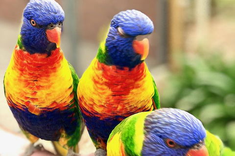 Coffin Bay Oysters, Ocean & Nature Tour - Attractions Melbourne 9