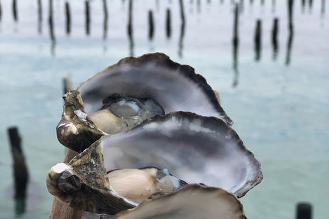 Coffin Bay Oysters, Ocean & Nature Tour - Attractions Melbourne 6