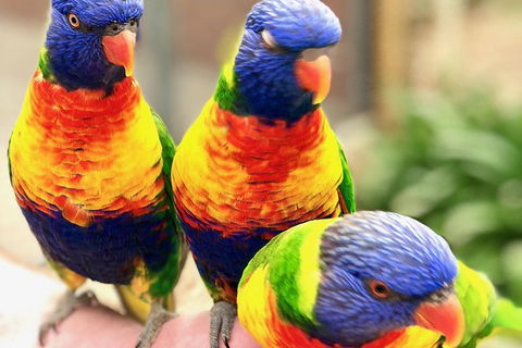 Coffin Bay Oysters, Ocean & Nature Tour - Attractions Melbourne 1