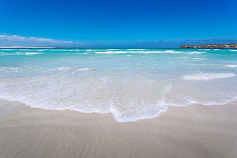 Coffin Bay Oysters, Ocean & Nature Tour - Attractions Melbourne 14