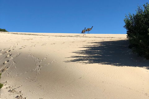 Coffin Bay Oysters, Ocean & Nature Tour - Attractions Melbourne 4