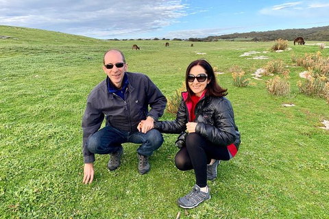 Kangaroo Island 4WD - Seal Bay - Attractions Melbourne 5