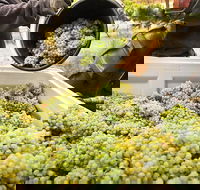 Adelaide Hills Wineries  Hahndorf - Attractions Melbourne