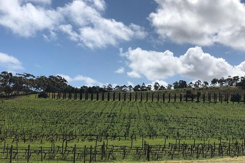 Intimate Wine Experience - Adelaide Hills - Attractions Melbourne 10