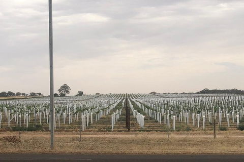 Intimate Wine Experience - Adelaide Hills - Attractions Melbourne 7
