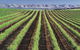 Small Group McLaren Vale And The Cube Experience - thumb 1