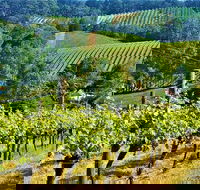 Adelaide Hills Private Day Tour - Attractions Melbourne