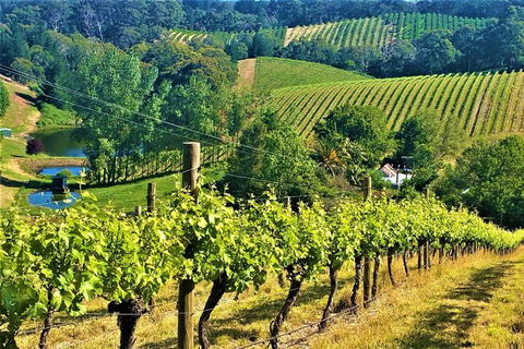 Adelaide Hills Private Day Tour - Attractions Melbourne 0